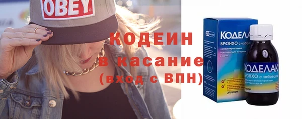 шишки Абаза