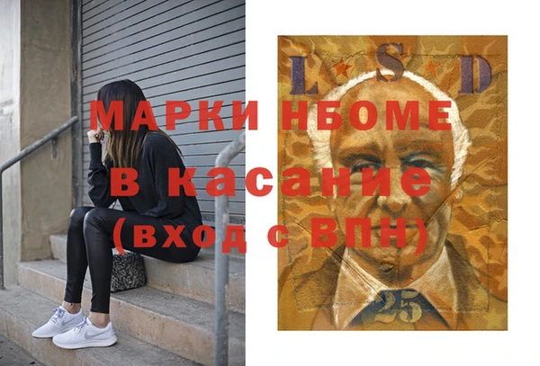 шишки Абаза