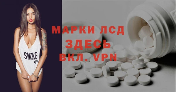 шишки Абаза