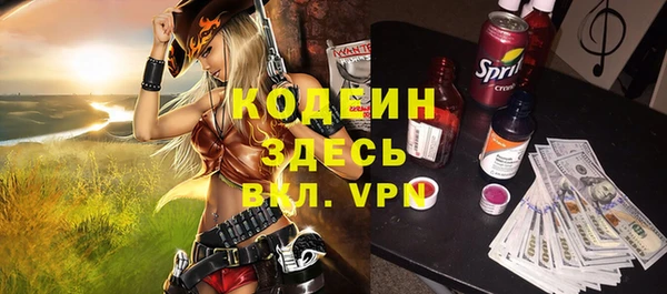 шишки Абаза