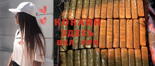 шишки Абаза