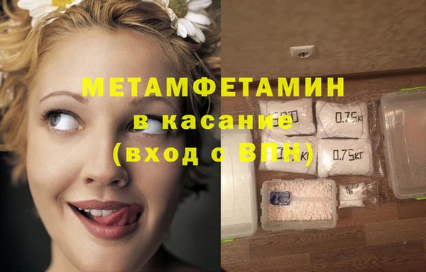 шишки Абаза