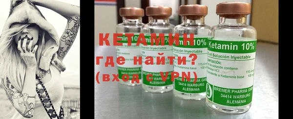 шишки Абаза