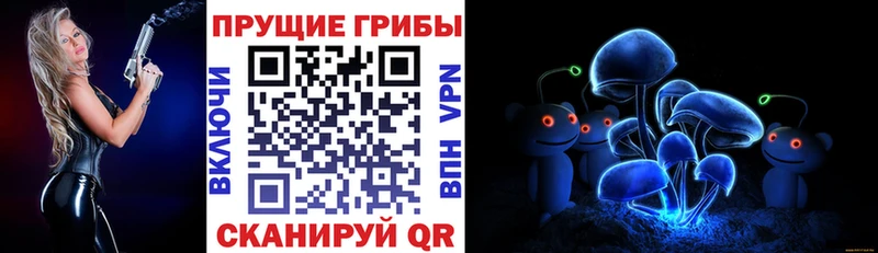 Псилоцибиновые грибы MAGIC MUSHROOMS  где можно купить наркотик  Красный Сулин 