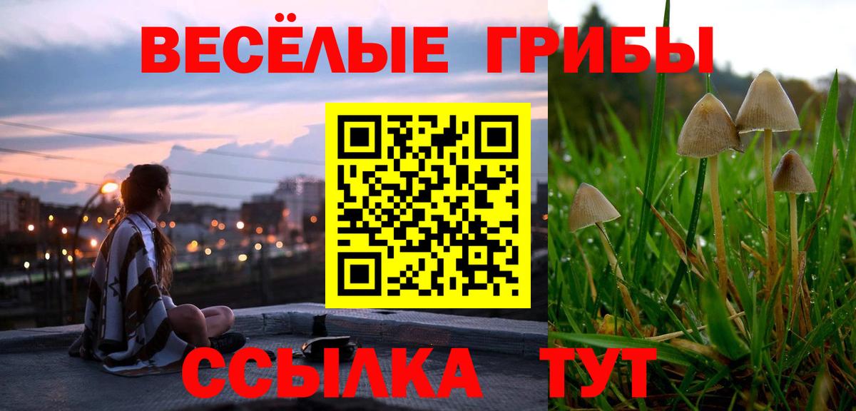 Галлюциногенные грибы MAGIC MUSHROOMS  Вход с VPN  Красный Сулин  Псилоцибиновые грибы мицелий 
